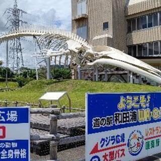 のんびりと話したいな - チャット