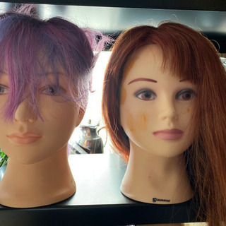 中古▶︎ヘッドマネキン