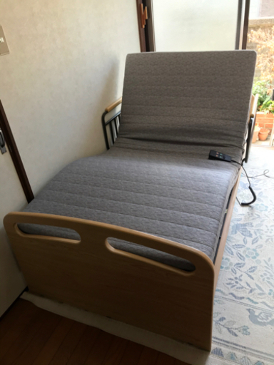 電動ベット