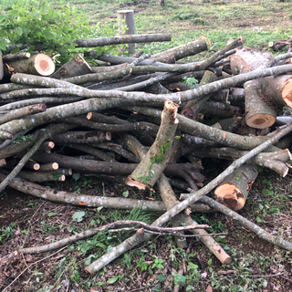 薪材欲しい人の画像