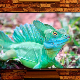2020年/4K Sony 65 インチ/ KJ-65X9500G