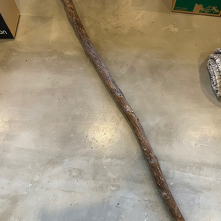 ディスプレイ用流木　2m 東急ハンズで購入