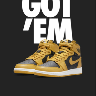 NIKE AIR JORDAN 1  POLLEN ジョーダン1 GS 24.5