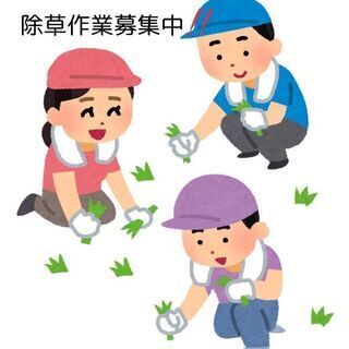 日払い★働きたい日だけ🙆‍♂️★草刈り、草集め作業👩‍🌾募集中！👬