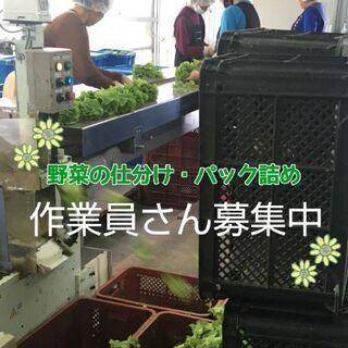 日払い★働きたい日だけ🙆‍♂️★草刈り、草集め作業👩‍🌾募集中！👬の画像