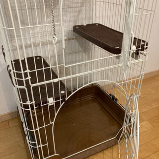 キャット　ゲージの画像