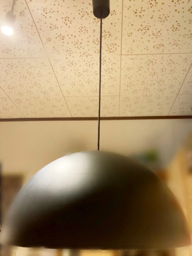 Panasonic モディファイ　ペンダント黒