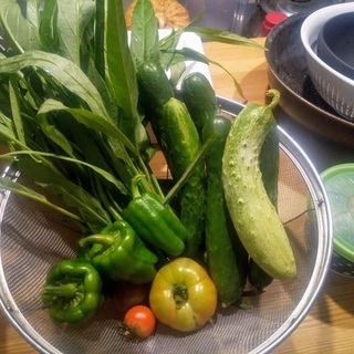 自然栽培の貸し農園