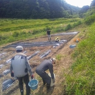 自然栽培の貸し農園の画像