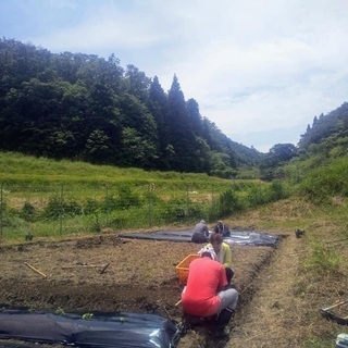 自然栽培の貸し農園の画像