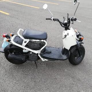 ズーマー　50 【実動車】の画像