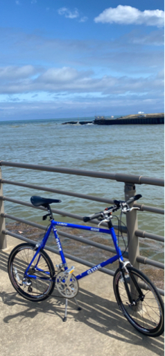 【取引中】GIOS LAMPO  ミニベロ(値段下げました)