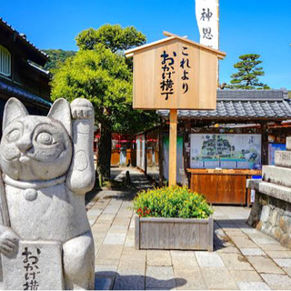 日帰りツアー🐾