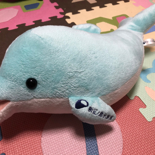 イルカ　ぬいぐるみ