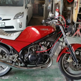rz250r 29L