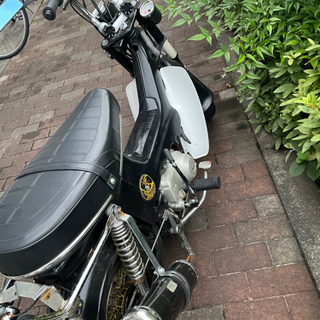シャリー国産