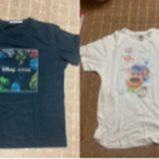 Tシャツいろいろ