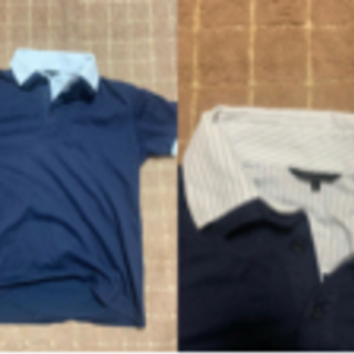 Tシャツいろいろの画像