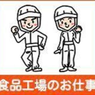 【北斗市】コンビニ弁当の製造／夜勤専属✿月収20万円以上！50代までの男女が活躍中！の画像