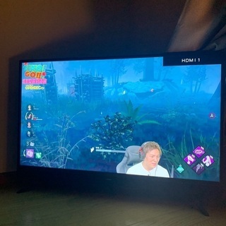 テレビ　40型MAXZEN