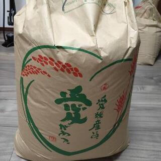 お米 30kg 【玄米】未開封✳直接現金お取引