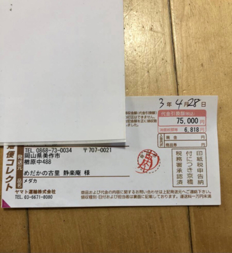 白斑サファイア　1ペア　成体