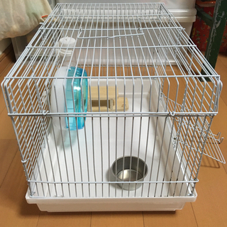 値下げしました‼️ハムスター等飼育ケース　給水機、車輪、エサ置き、木の台付きの画像