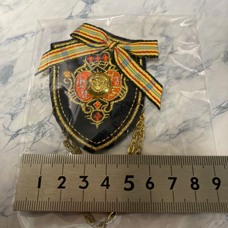 【ワッペンブローチ】新品未開封品の画像