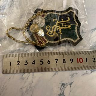 ☆新品未開封品☆ワッペンブローチの画像