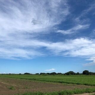 10ヶ国の人が働いている / People from 10 countries are working there.の画像