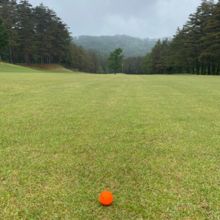 ゴルフ⛳️打ちっ放しやコース行ける方募集