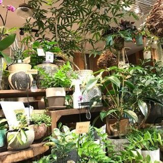 ★東急プラザ蒲田のフラワーショップ★　フルールユニヴェセールプティ蒲田で働きませんか？の画像