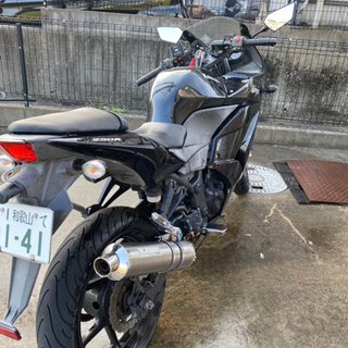 ニンジャ250R  ①の画像