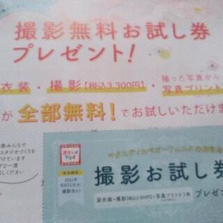 （決まりました）スタジオマリオ 無料お試し券