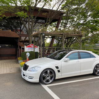 ⭐️L55Sロング後期⭐️ロリンザーコンプリート⭐️の画像