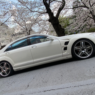 ⭐️L55Sロング後期⭐️ロリンザーコンプリート⭐️の画像