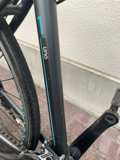 BIANCHI   CAMALEONTE 1