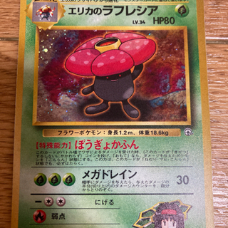 エリカのラフレシア　300円