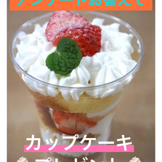 アッシュ  ☆ベルコイベント本日開催☆