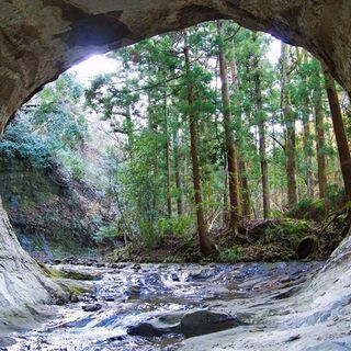 ライ麦の種まきと開墾場の滝見学の画像