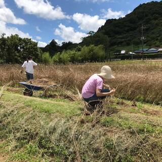 ライ麦の種まきと開墾場の滝見学 - イベント