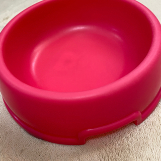 犬用　ご飯いれ　小