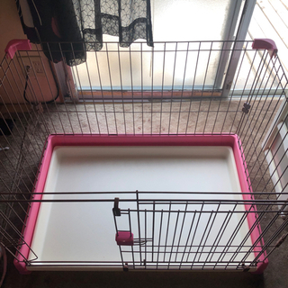 犬のケージ　美品　三千円の画像