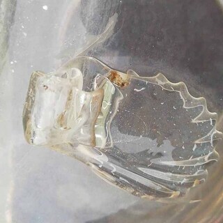 中古　丸型ガラス金魚鉢の画像