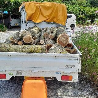 薪に　ねむの木　白樺　丸太　4000円の画像