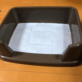犬　トイレ の画像