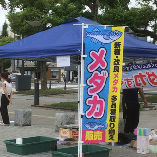 姫路青空市開催予定 2025年3月4月5月6月 - 姫路市
