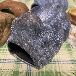 爬虫類・両生類/シェルター・水入れ・餌入れの画像