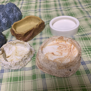 爬虫類・両生類/シェルター・水入れ・餌入れの画像