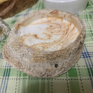 爬虫類・両生類/シェルター・水入れ・餌入れの画像